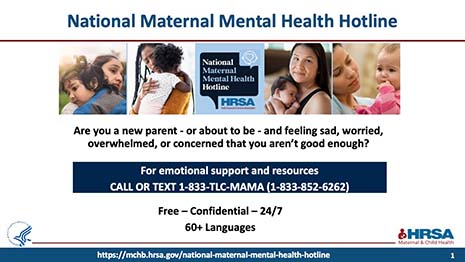 National Maternal Health Hotline PowerPoint slide