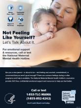 Poster in English that includes a Native American mother in a black tank top holding her baby.