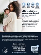 Poster in Spanish that includes a Latina mother in a white sweater and her baby.